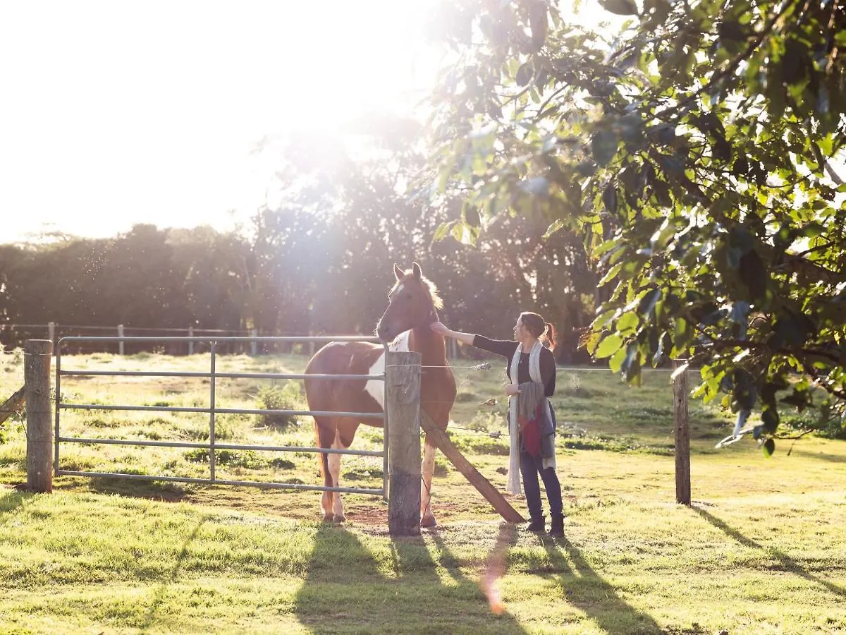 Bed & Breakfast Bridle Guesthouse Maleny